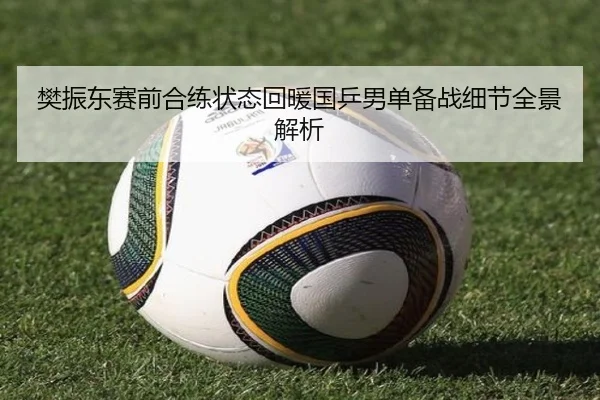 樊振东赛前合练状态回暖国乒男单备战细节全景解析
