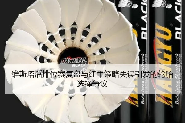 维斯塔潘排位赛复盘与红牛策略失误引发的轮胎选择争议