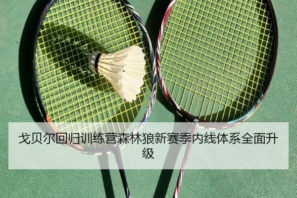 戈贝尔回归训练营森林狼新赛季内线体系全面升级